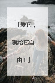 爱它，就给它自由！