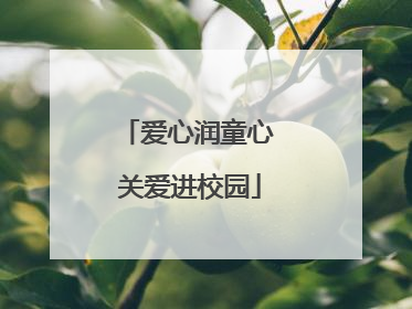 爱心润童心 关爱进校园