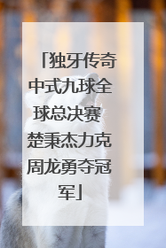 独牙传奇中式九球全球总决赛 楚秉杰力克周龙勇夺冠军