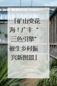 矿山变花海！广丰“三色引擎”催生乡村振兴新图景