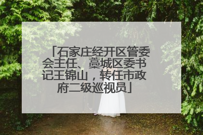 石家庄经开区管委会主任、藁城区委书记王锦山，转任市政府二级巡视员
