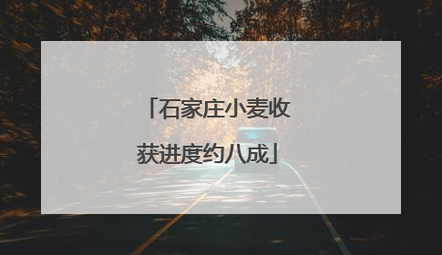 石家庄小麦收获进度约八成