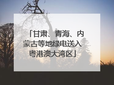 甘肃、青海、内蒙古等地绿电送入粤港澳大湾区