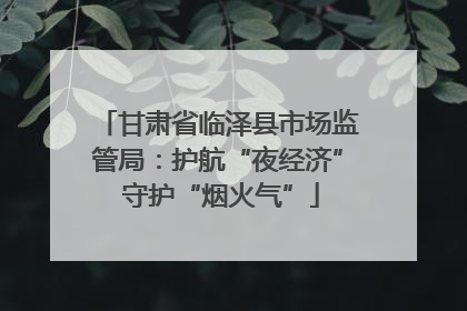 甘肃省临泽县市场监管局：护航“夜经济” 守护“烟火气”