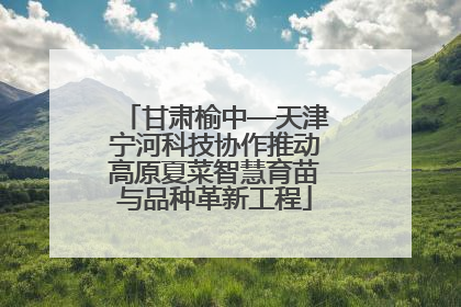 甘肃榆中—天津宁河科技协作推动高原夏菜智慧育苗与品种革新工程
