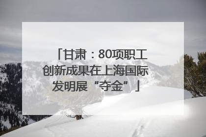 甘肃：80项职工创新成果在上海国际发明展“夺金”