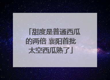 甜度是普通西瓜的两倍 襄阳首批太空西瓜熟了