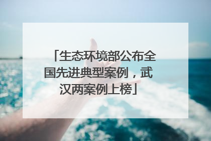 生态环境部公布全国先进典型案例，武汉两案例上榜