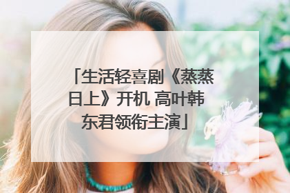 生活轻喜剧《蒸蒸日上》开机 高叶韩东君领衔主演
