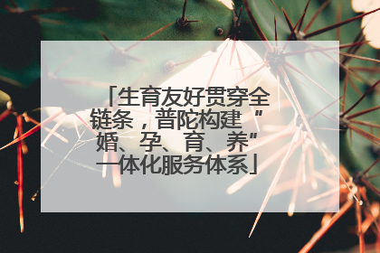 生育友好贯穿全链条，普陀构建“婚、孕、育、养”一体化服务体系