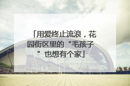 用爱终止流浪，花园街区里的“毛孩子”也想有个家