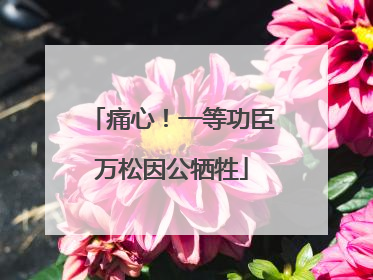 痛心！一等功臣万松因公牺牲