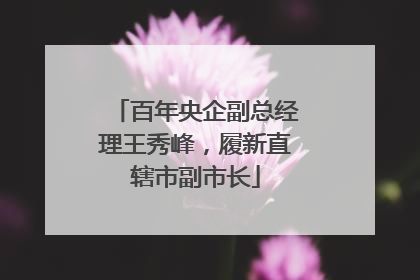 百年央企副总经理王秀峰，履新直辖市副市长