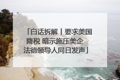 白话拆解丨要求美国降税 暗示施压美企 法德领导人同日发声