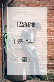 盐碱地上好“丰”景