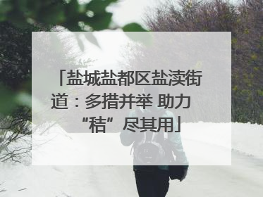 盐城盐都区盐渎街道：多措并举 助力“秸”尽其用