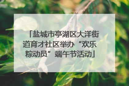 盐城市亭湖区大洋街道育才社区举办“欢乐粽动员”端午节活动