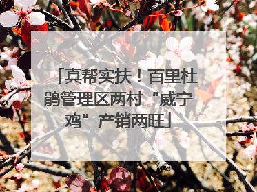 真帮实扶！百里杜鹃管理区两村“威宁鸡”产销两旺
