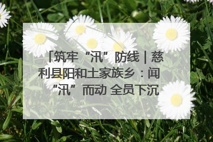 筑牢“汛”防线｜慈利县阳和土家族乡：闻“汛”而动 全员下沉筑牢防汛“安全堤”