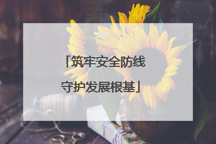 筑牢安全防线 守护发展根基