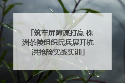 筑牢屏障谋打赢 株洲茶陵组织民兵展开抗洪抢险实战实训