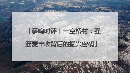 筝鸣时评丨一空桥村：强筋麦丰收背后的振兴密码