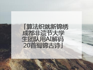 算法织就新锦绣 成都非遗节大学生团队用AI解码20首蜀锦古诗