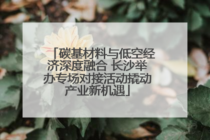 碳基材料与低空经济深度融合 长沙举办专场对接活动撬动产业新机遇