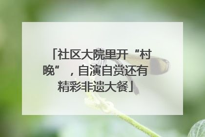 社区大院里开“村晚”，自演自赏还有精彩非遗大餐