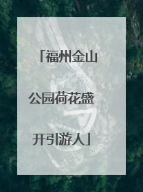 福州金山公园荷花盛开引游人