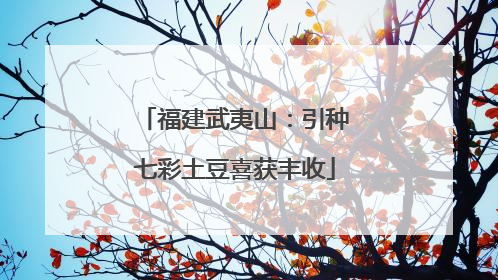 福建武夷山：引种七彩土豆喜获丰收