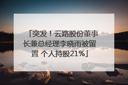 突发！云路股份董事长兼总经理李晓雨被留置 个人持股21%