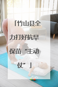 竹山县全力打好抗旱保苗“主动仗”
