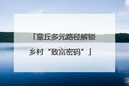 章丘多元路径解锁乡村“致富密码”