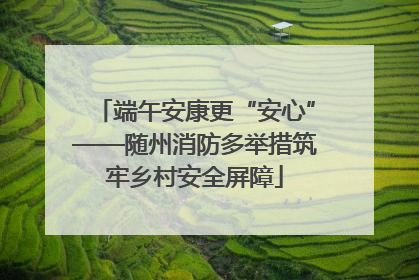 端午安康更“安心”——随州消防多举措筑牢乡村安全屏障