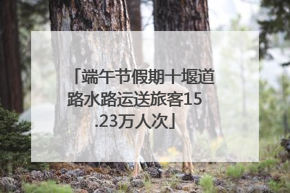 端午节假期十堰道路水路运送旅客15.23万人次