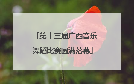 第十三届广西音乐舞蹈比赛圆满落幕