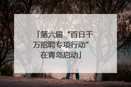 第六届“百日千万招聘专项行动”在青岛启动