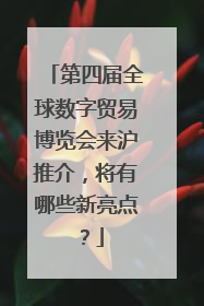 第四届全球数字贸易博览会来沪推介，将有哪些新亮点？