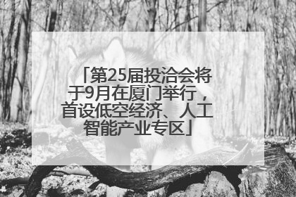 第25届投洽会将于9月在厦门举行，首设低空经济、人工智能产业专区