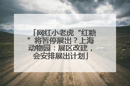 网红小老虎“红糖”将暂停展出？上海动物园：展区改建，会安排展出计划