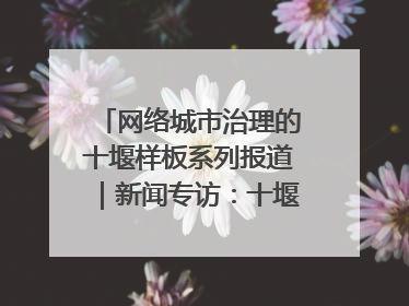 网络城市治理的十堰样板系列报道｜新闻专访：十堰为什么成为“黑马型”城市治理网络维度典型