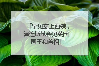 罕见穿上西装，泽连斯基会见英国国王和首相