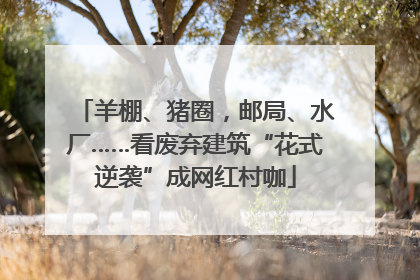 羊棚、猪圈，邮局、水厂……看废弃建筑“花式逆袭”成网红村咖