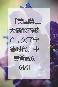 美国第三大储能商破产，欠了宁德时代、中集普威6.6亿
