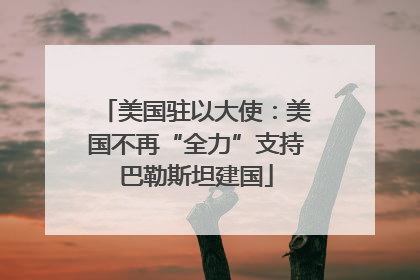 美国驻以大使：美国不再“全力”支持巴勒斯坦建国
