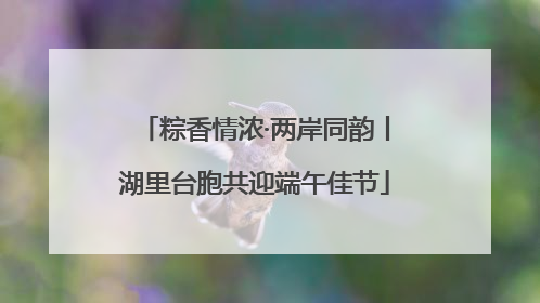 粽香情浓·两岸同韵丨湖里台胞共迎端午佳节
