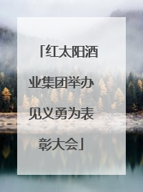 红太阳酒业集团举办见义勇为表彰大会