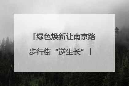 绿色焕新让南京路步行街“逆生长”