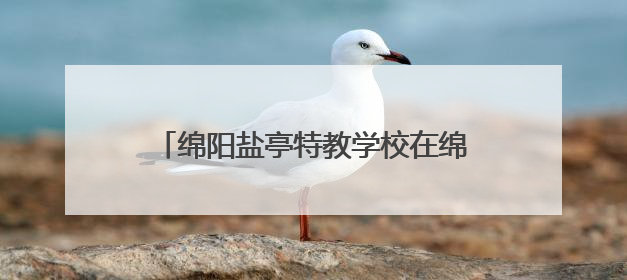 绵阳盐亭特教学校在绵阳市第四届“体育复健进校园”联赛中获佳绩